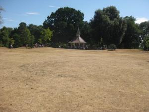 brassonthegrass2022-4.jpg